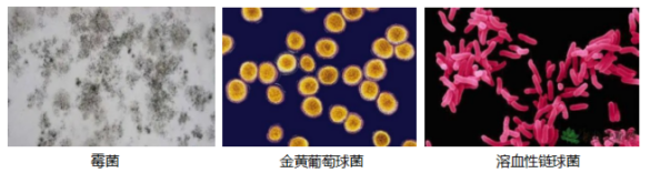 汽车空调内细菌滋生的成因(图4)